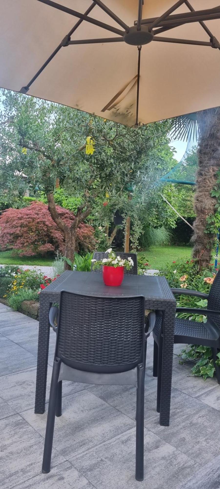 Green Rose Cesiomaggiore Экстерьер фото