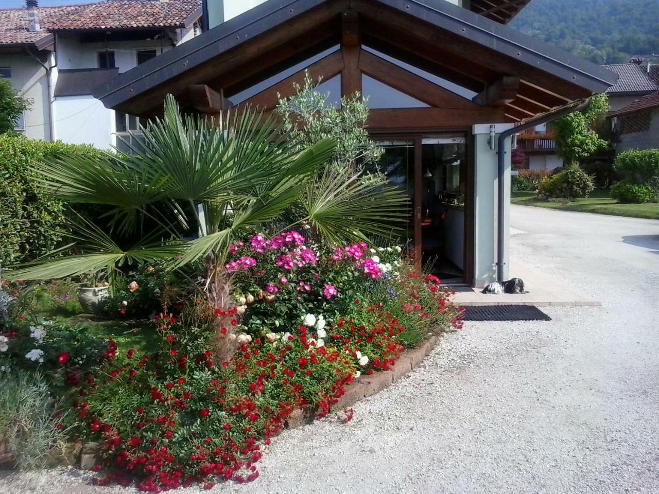 Green Rose Cesiomaggiore Экстерьер фото