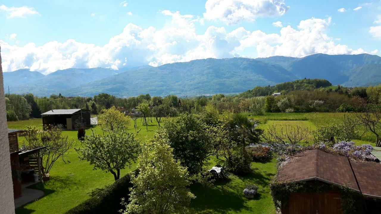 Green Rose Cesiomaggiore Экстерьер фото