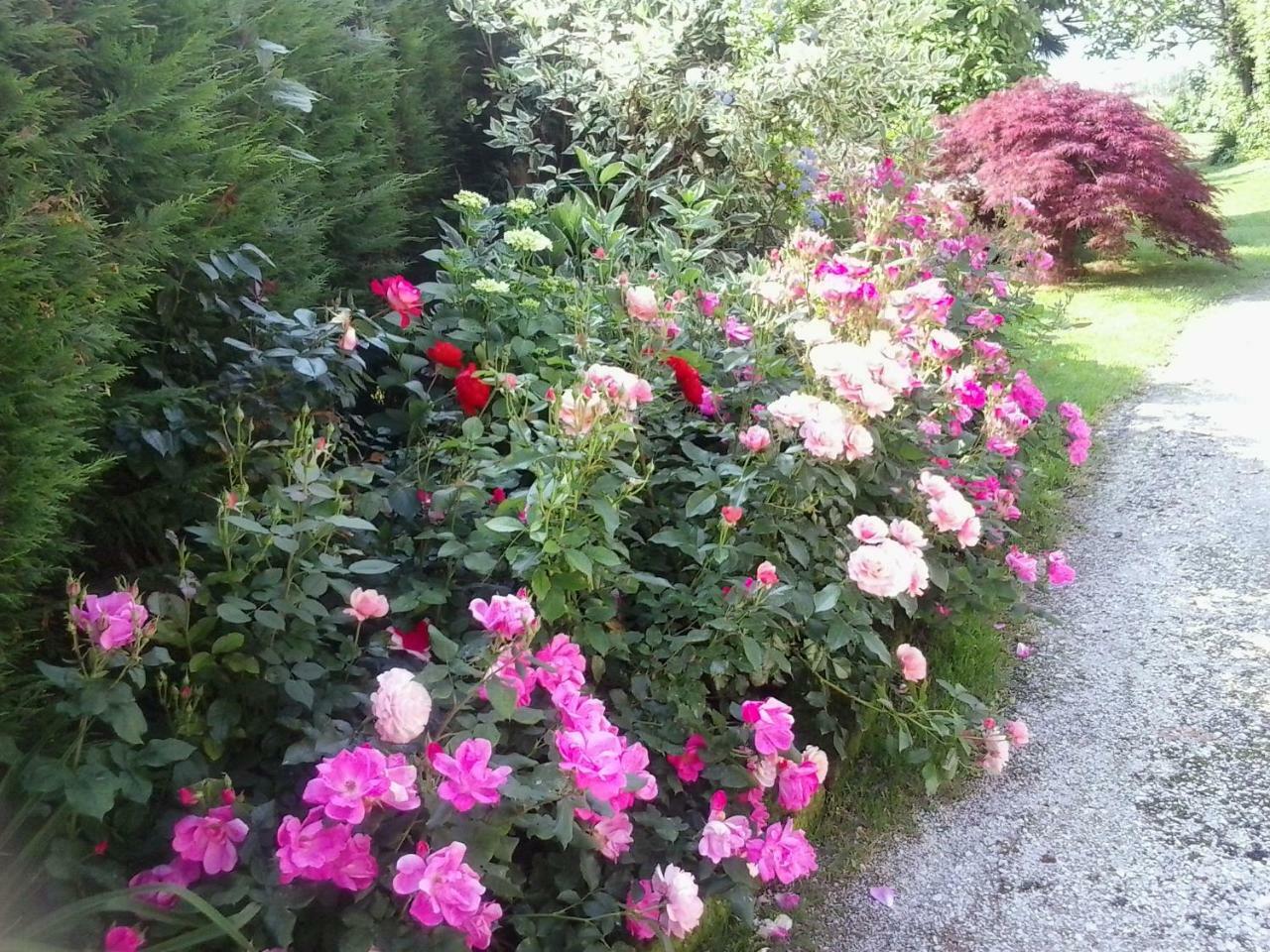 Green Rose Cesiomaggiore Экстерьер фото