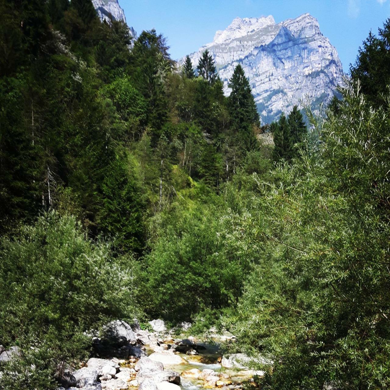 Green Rose Cesiomaggiore Экстерьер фото
