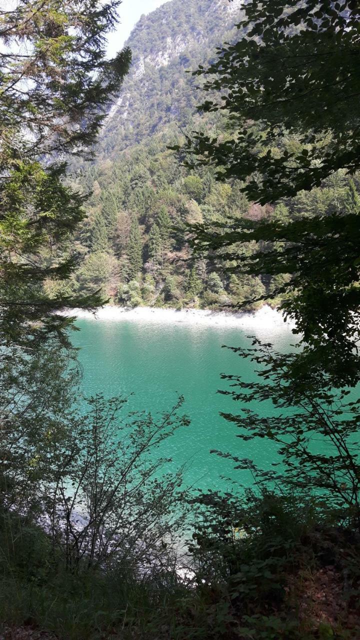 Green Rose Cesiomaggiore Экстерьер фото