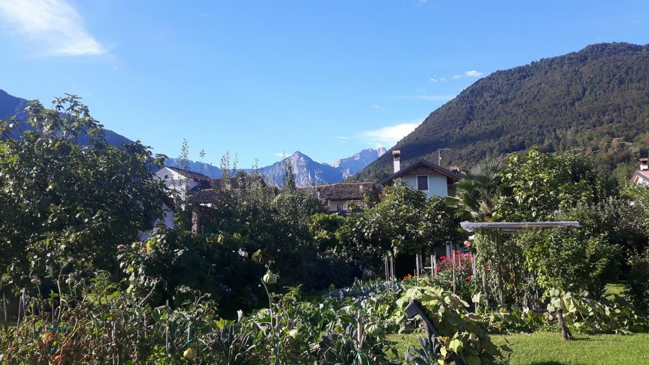 Green Rose Cesiomaggiore Экстерьер фото
